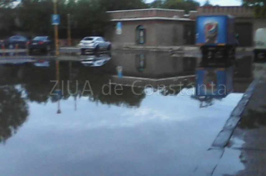 buruienile logicii merge si asa inca troneaza peste statiunea mamaia ar fi bine ca turistii sa nu se buruienile logicii merge si asa inca troneaza peste statiunea mamaia ar fi bine ca turistii sa nu se