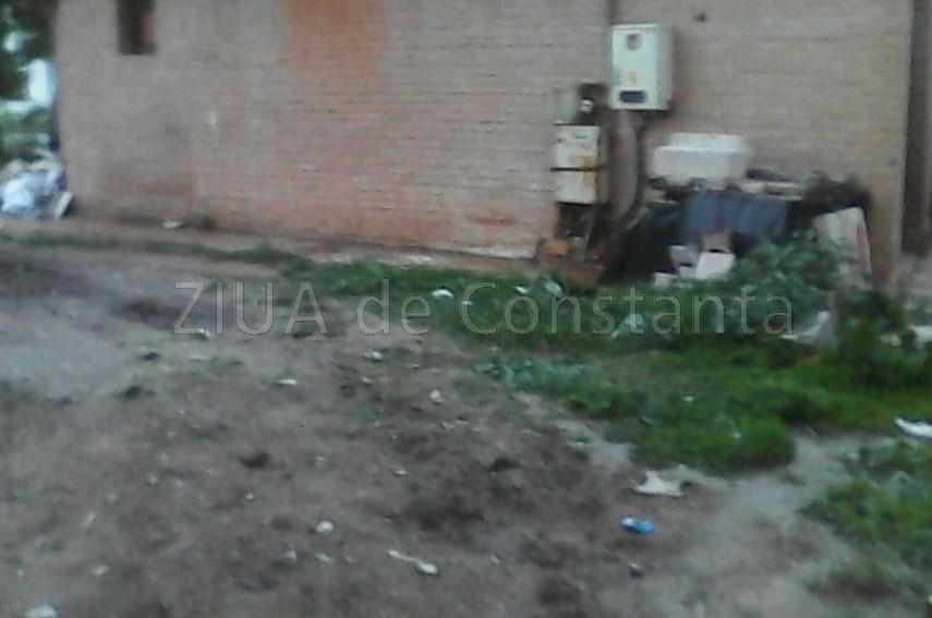 buruienile logicii merge si asa inca troneaza peste statiunea mamaia ar fi bine ca turistii sa nu se buruienile logicii merge si asa inca troneaza peste statiunea mamaia ar fi bine ca turistii sa nu se