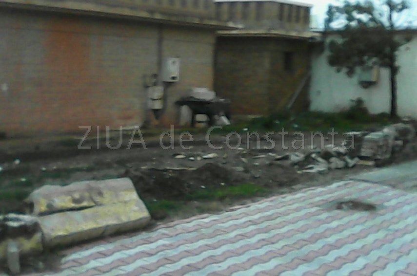 buruienile logicii merge si asa inca troneaza peste statiunea mamaia ar fi bine ca turistii sa nu se buruienile logicii merge si asa inca troneaza peste statiunea mamaia ar fi bine ca turistii sa nu se