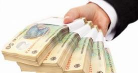 Declaraţiile de avere ale candidaţilor PMP care vor să devină primari de comune în judeţul Constanţa (documente)