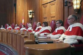 Canada legalizează sexul cu animale atâta timp cât nu presupune penetrare!?