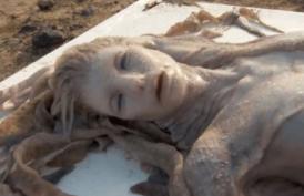 Sirenele există! (video)