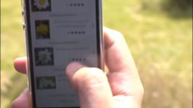 Aplicația incredibilă \