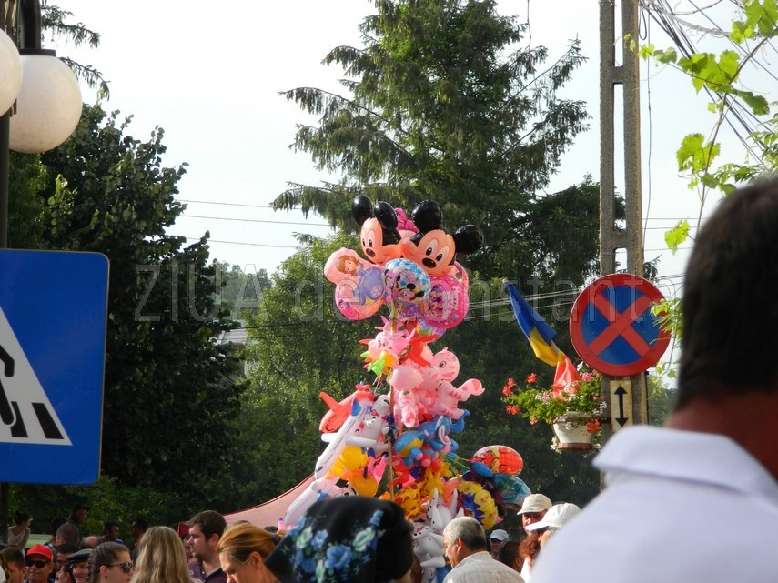 tulcenii petrec la sarbatoarea cireselor cu maria dragomiroiu galerie foto 597503 tulcenii petrec la sarbatoarea cireselor cu maria dragomiroiu galerie foto 597503