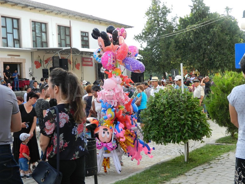 tulcenii petrec la sarbatoarea cireselor cu maria dragomiroiu galerie foto 597503 tulcenii petrec la sarbatoarea cireselor cu maria dragomiroiu galerie foto 597503