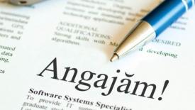 362 de locuri de muncă vacante la Constanţa şi peste 26.000 disponibile la nivel național