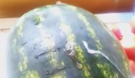 ANPC susține că nu se confirmă povestea pepenilor ”spumanți, umflați, efervescenți” (video)  