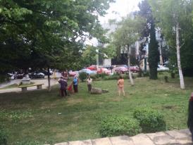 UPDATE. Curăţenia, plătită din buzunarul personal. Consiliul Judeţean s-a apucat să stârpească buruienile cât casa din faţa clădirii (galerie foto)