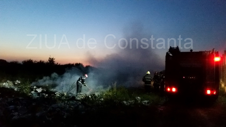 ard mai multe gunoaie langa o casa parasita din constanta 598737 ard mai multe gunoaie langa o casa parasita din constanta 598737