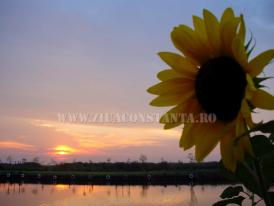 centrulnatura.ro SĂPTĂMÂNA ”LUMINII”