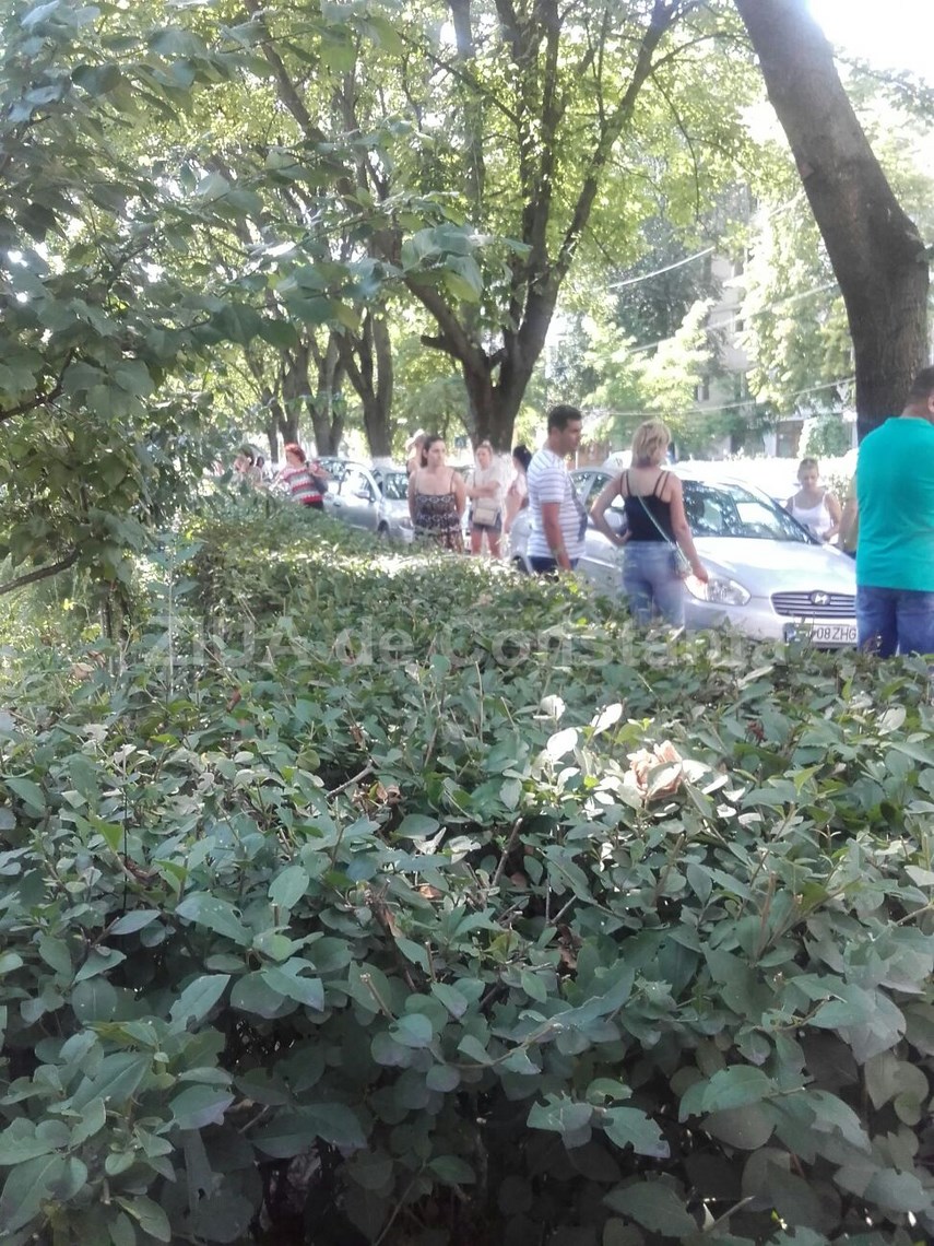 s au afisat rezultatele de la evaluarea nationala 2016 17 copii de nota 10 in constanta 598802 s au afisat rezultatele de la evaluarea nationala 2016 17 copii de nota 10 in constanta 598802