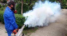 Constanţa, invadată de ţânţari Ce obligaţii îi reveneau Primăriei prin contractul încheiat cu firma de dezinsecţie (documente)