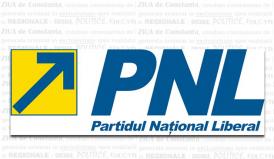 PNL va merge singur în alegerile parlamentare