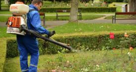 Sondaj de opinie Sunteţi mulţumiţi de cum decurg acţiunile de dezinsecţie în municipiul Constanţa?