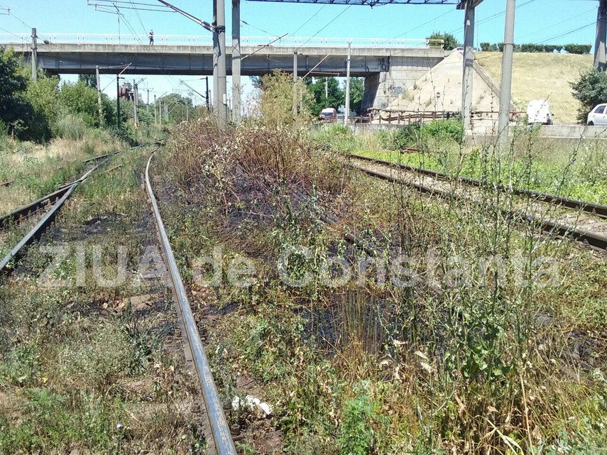 pompierii intervin in zona doraly din constanta 599204 pompierii intervin in zona doraly din constanta 599204