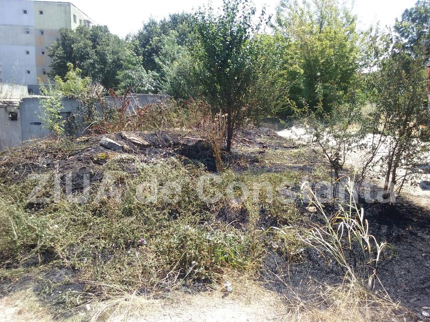 incendiu in spatele galeriilor soveja din constanta 599841 incendiu in spatele galeriilor soveja din constanta 599841