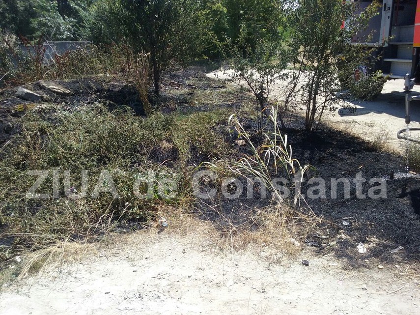 incendiu in spatele galeriilor soveja din constanta 599841 incendiu in spatele galeriilor soveja din constanta 599841