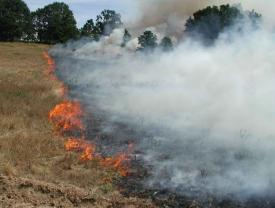 Incendiu între localitățile Mircea Vodă și Satu Nou