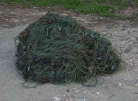 Controale de proporții în Delta Dunării și în complexul Razim – Sinoe