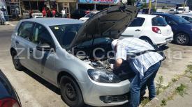 UPDATE. O viperă ar fi fost găsită în mașina unui constănțean (galerie foto+video)      