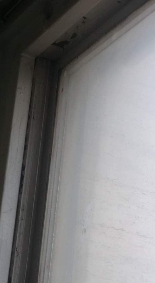 gandacii au dat navala in spitalul clinic judetean de urgenta constanta fotografii socante 600423 gandacii au dat navala in spitalul clinic judetean de urgenta constanta fotografii socante 600423