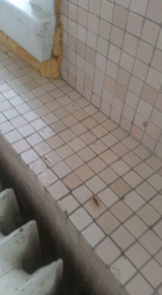 gandacii au dat navala in spitalul clinic judetean de urgenta constanta fotografii socante 600423 gandacii au dat navala in spitalul clinic judetean de urgenta constanta fotografii socante 600423