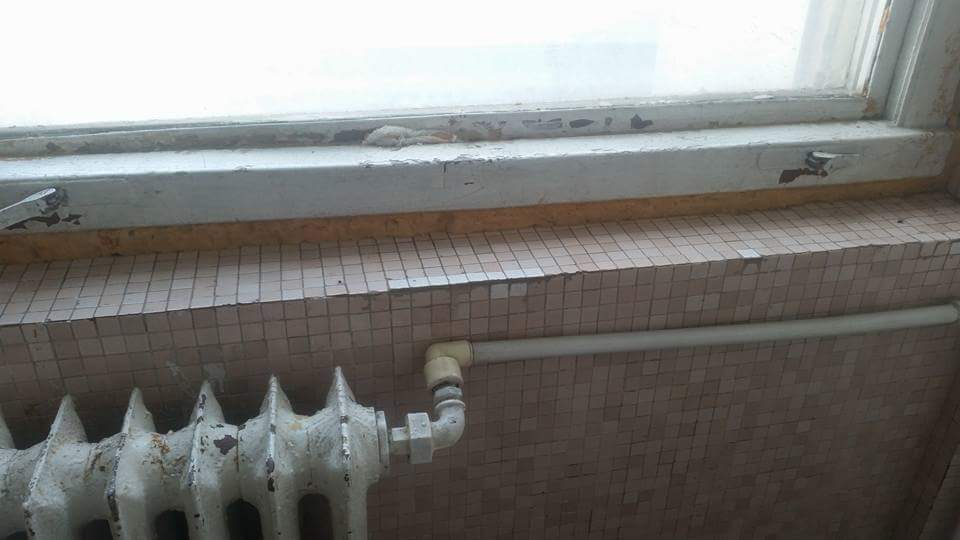 gandacii au dat navala in spitalul clinic judetean de urgenta constanta fotografii socante 600423 gandacii au dat navala in spitalul clinic judetean de urgenta constanta fotografii socante 600423