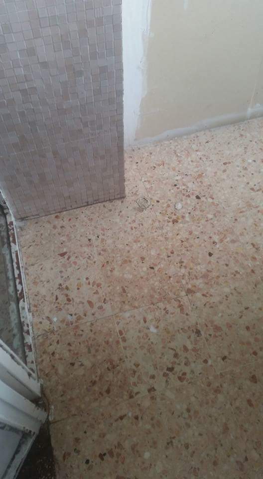 gandacii au dat navala in spitalul clinic judetean de urgenta constanta fotografii socante 600423 gandacii au dat navala in spitalul clinic judetean de urgenta constanta fotografii socante 600423