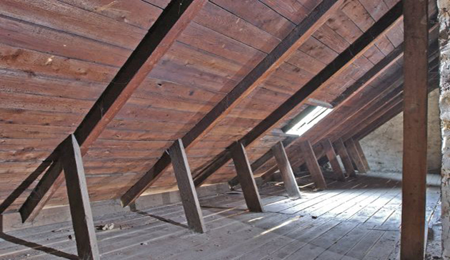 constanta invelitoarea noua metoda de inselatorie tinta o reprezinta tot batranii 600558 constanta invelitoarea noua metoda de inselatorie tinta o reprezinta tot batranii 600558