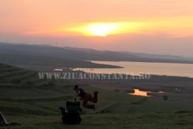 centrulnatura.ro Săptămâna identificării auto-sabotajului