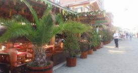 Restaurantul Casa Românească, un local autentic tradiţional, dar cu mâncare rece şi veche (galerie foto)