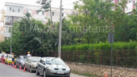 Toaletarea copacilor de pe aleea Garofiței se face peste mașinile oamenilor? (galerie foto)