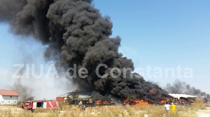 fotoreportaj un doamne ajuta in gand si o pata neagra de cenusa pe cerul constantei 603184 fotoreportaj un doamne ajuta in gand si o pata neagra de cenusa pe cerul constantei 603184