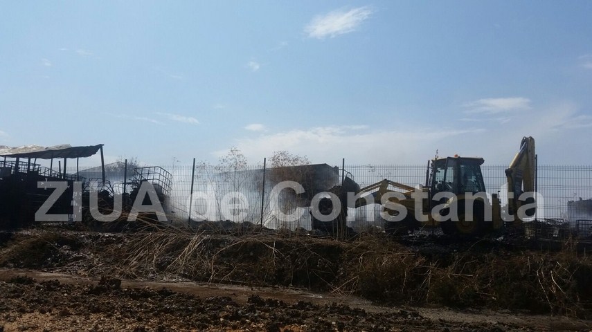 fotoreportaj un doamne ajuta in gand si o pata neagra de cenusa pe cerul constantei 603184 fotoreportaj un doamne ajuta in gand si o pata neagra de cenusa pe cerul constantei 603184