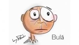 Banc Logica lui Bulă