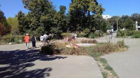 Parcul Arheologic din buricul Constanței înghițit de buruieni și sufocat de moloz (fotoreportaj)  