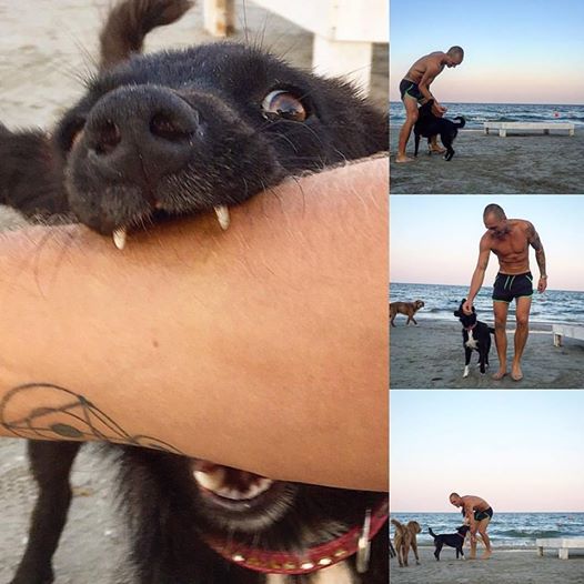 cel mai renumit burlac din show biz ul mioritic vladimir draghia prins baut la volan in statiunea mamaia cel mai renumit burlac din show biz ul mioritic vladimir draghia prins baut la volan in statiunea mamaia