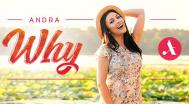Andra - Why