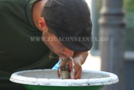 centrulnatura.roVara și consumul de apă