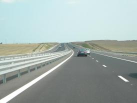 Eveniment inedit pe Autostrada Soarelui. Oile au dat „năvală” (video) 