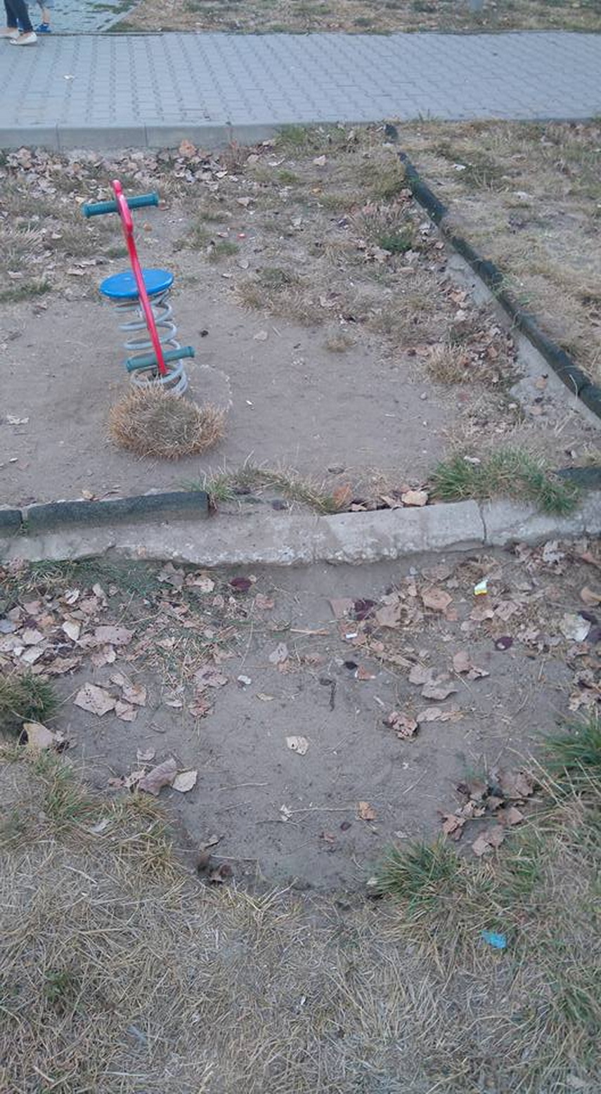 cat ne mai umiliti copiii pe banii nostri mamicile din constanta pregatesc un protest motivul locurile cat ne mai umiliti copiii pe banii nostri mamicile din constanta pregatesc un protest motivul locurile