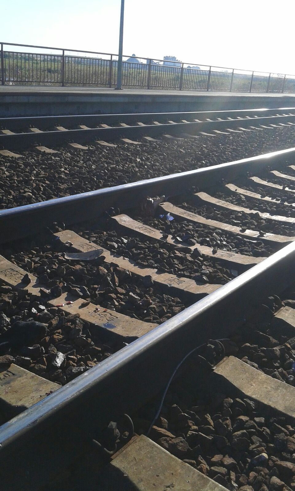 persoana lovita de tren la castelu final tragic 605566 persoana lovita de tren la castelu final tragic 605566