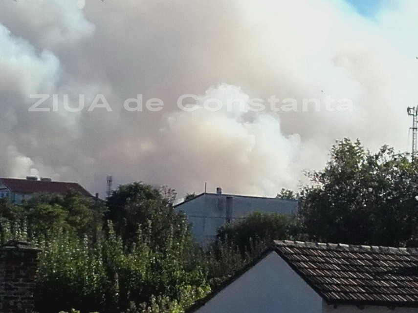 incendiu de proportii in vama veche aproape de granita cu bulgaria galerie foto 605564 incendiu de proportii in vama veche aproape de granita cu bulgaria galerie foto 605564