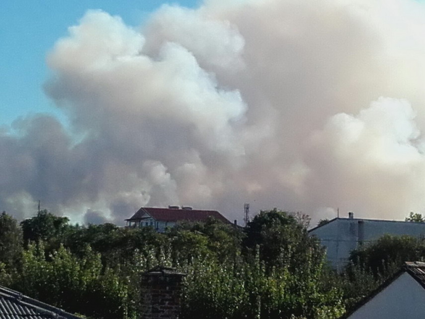 incendiu de proportii in vama veche aproape de granita cu bulgaria galerie foto 605564 incendiu de proportii in vama veche aproape de granita cu bulgaria galerie foto 605564