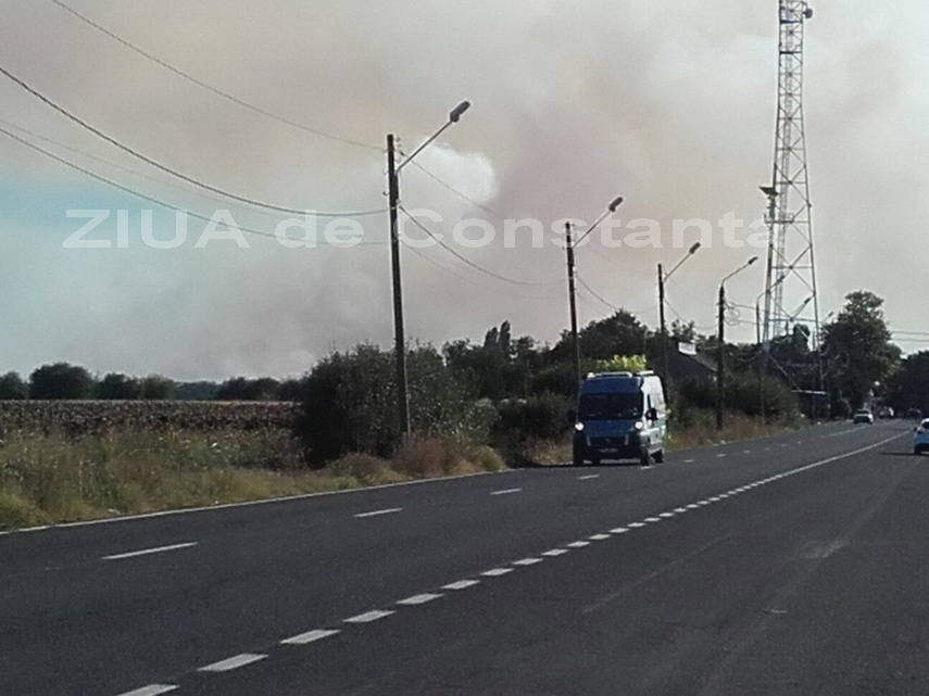 incendiu de proportii in vama veche aproape de granita cu bulgaria galerie foto 605564 incendiu de proportii in vama veche aproape de granita cu bulgaria galerie foto 605564