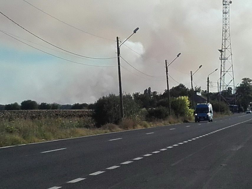incendiu de proportii in vama veche aproape de granita cu bulgaria galerie foto 605564 incendiu de proportii in vama veche aproape de granita cu bulgaria galerie foto 605564