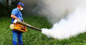 Un insecticid anti-Zika a ucis milioane de albine în SUA