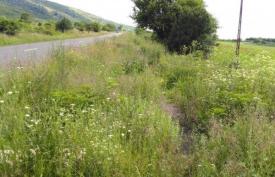 UPDATE 1 Copiii au luat o sticlă de vin din casăDoi copii de școală primară au fost găsiți leșinați de beție pe câmp 