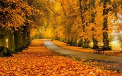 Aeroport de toamnă – Nichita Stănescu