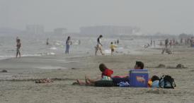 Firma senatorului PSD Constanţa Nicolae Moga a câştigat un contract cu ABADL (document)